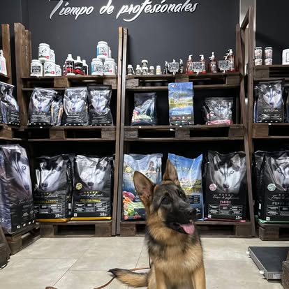 Pets Nutrition